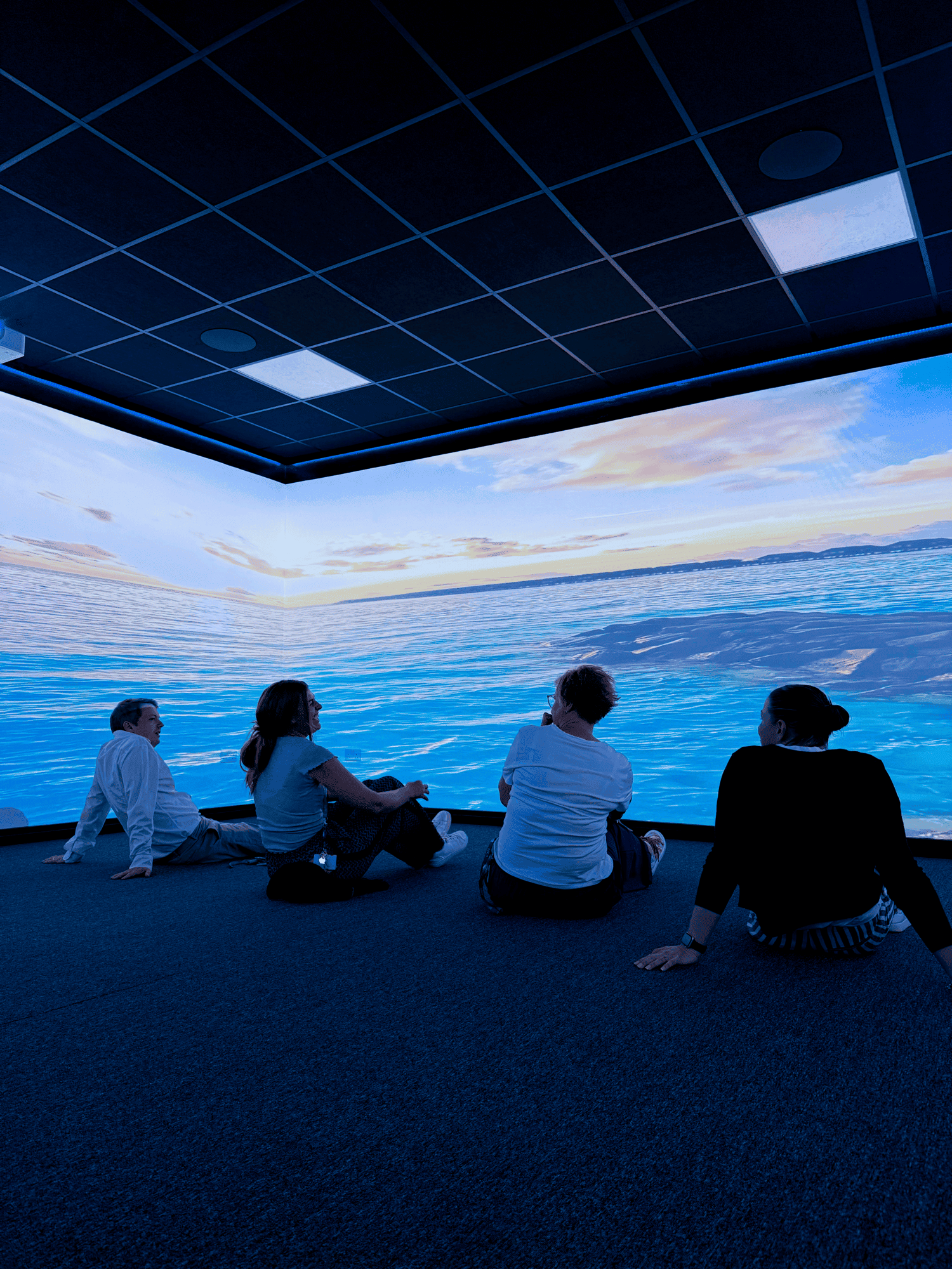 Osborne Technologies' Aurora Immersive Classroom and Sensory Rooms for SEN Education