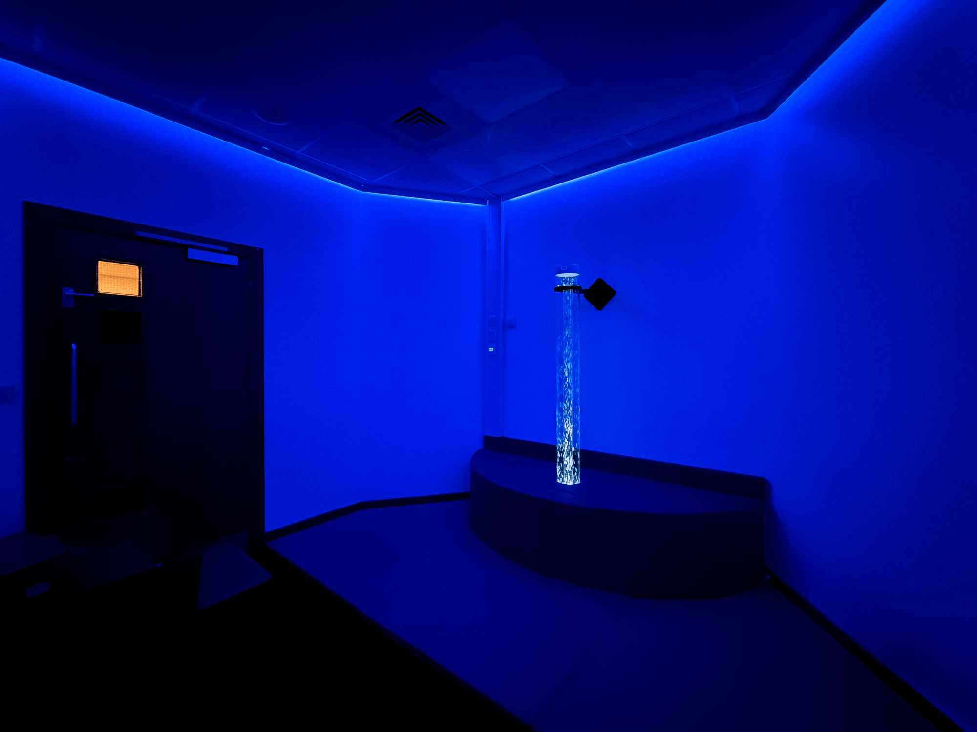 birdwell-primary_sensory_after_03_edit