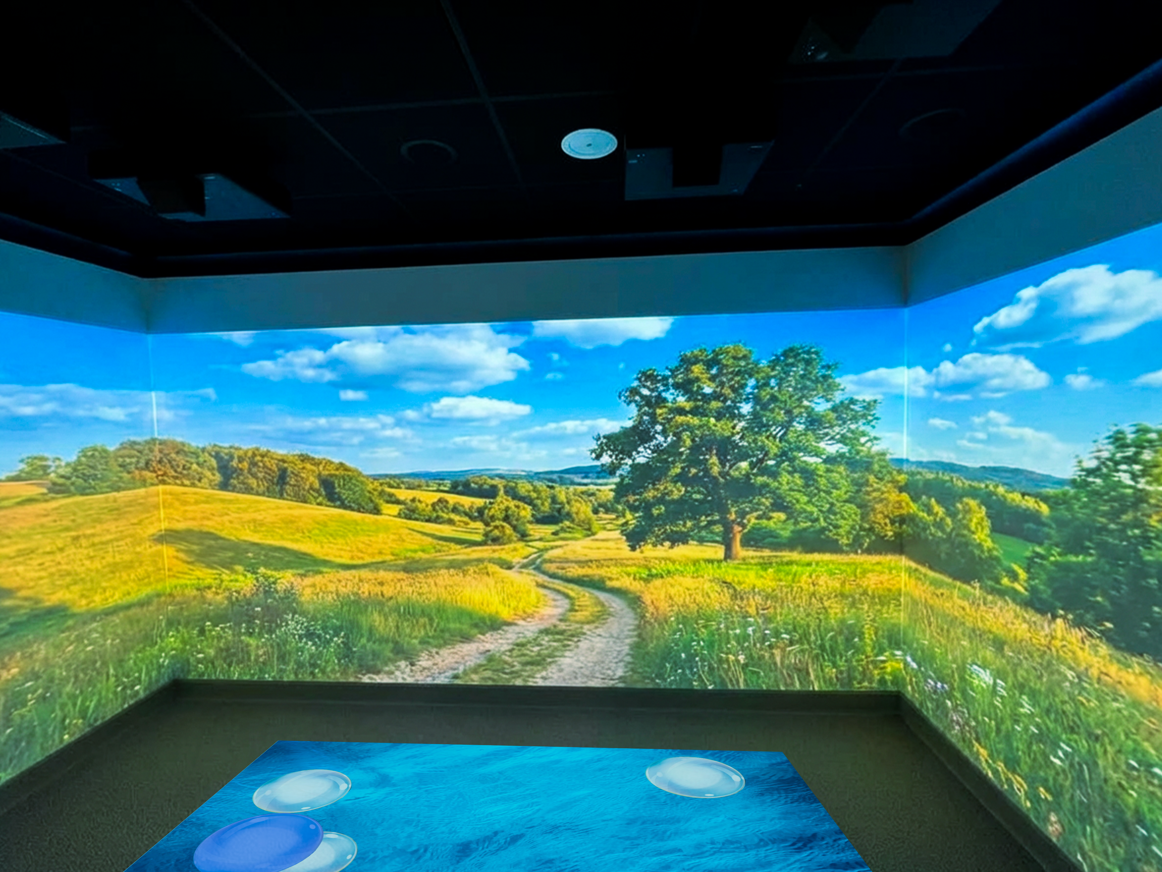 A serene landscape projected on three walls in a room depicts a winding path through sunny green fields with a large tree, under a bright blue sky.