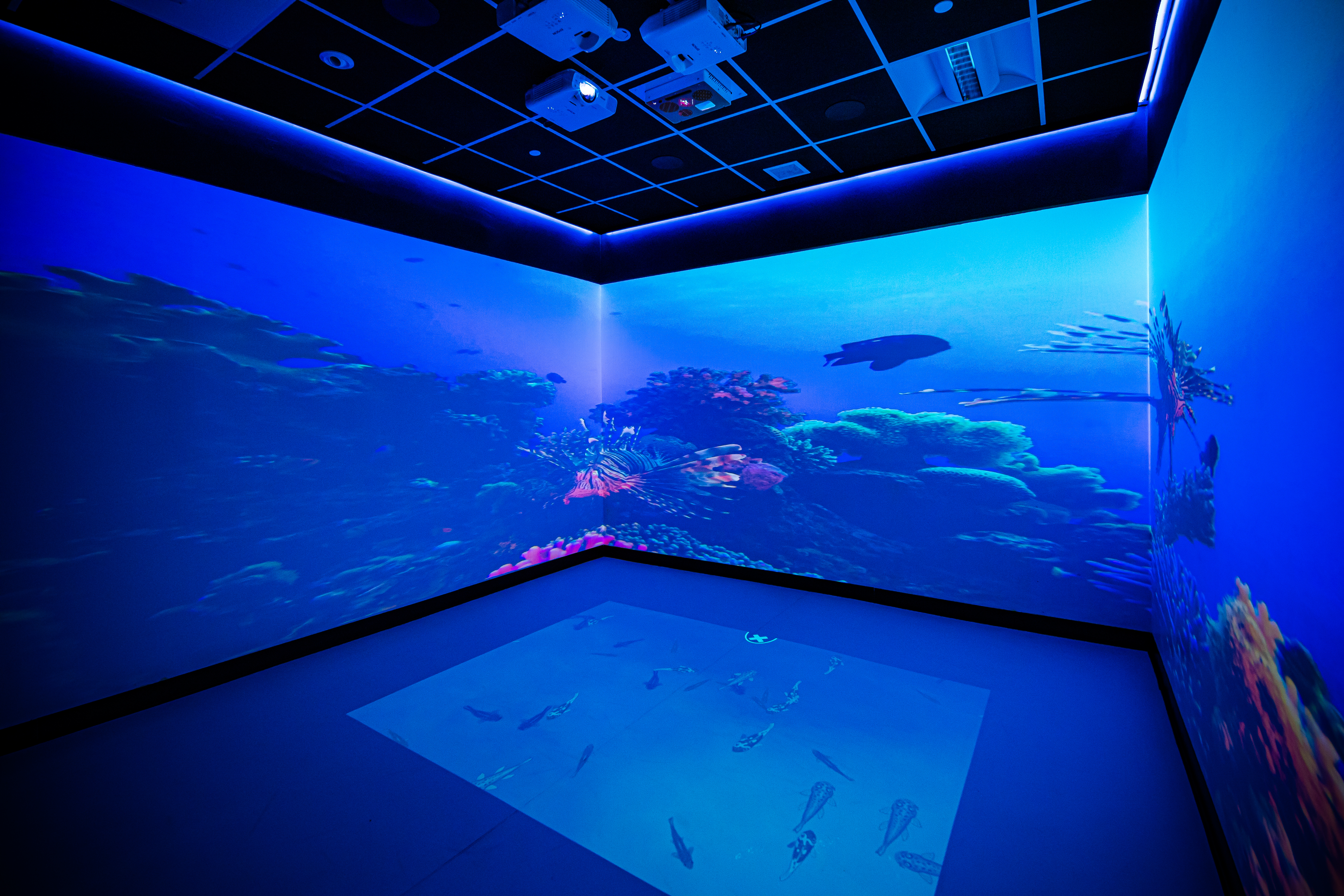 Osborne Technologies' Aurora immersive classroom & Wizefloor interactive projection system