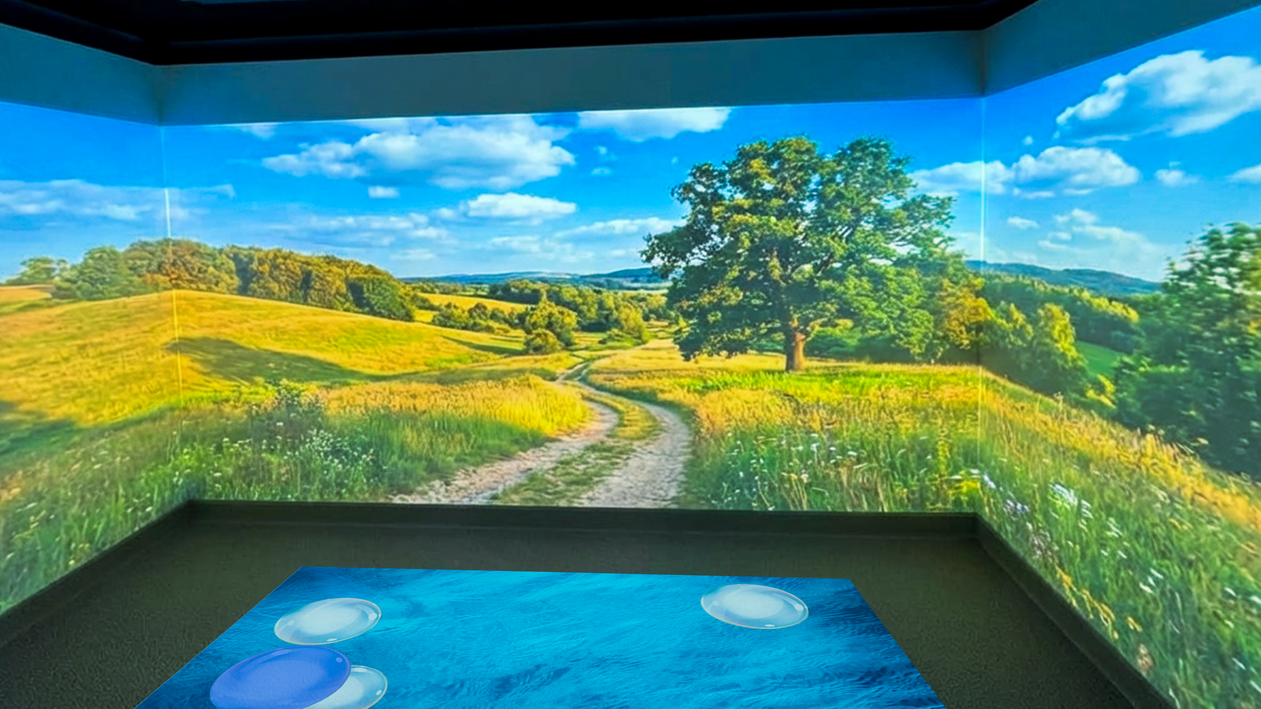A serene landscape projected on three walls in a room depicts a winding path through sunny green fields with a large tree, under a bright blue sky.